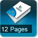 12 pages