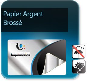 étiquette de sécurité Papier argent brossé + pelliculage brillant