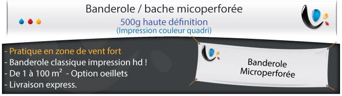 500g microperforé
