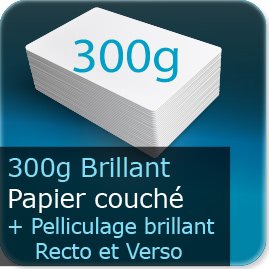 300g brillant + pell. brillant R�/V�