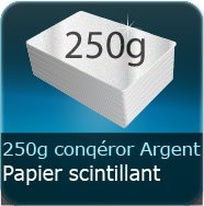 Cartes correspondance couleur 250g Conquéror métallisé Argent Irisé