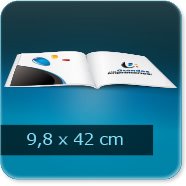 420x98mm