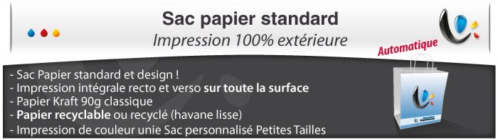 Sac Papier - Impression totale éxterieur