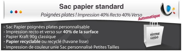 Sac Papier poignées plates - Impression 40% Recto 40% verso