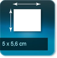 50x 56mm