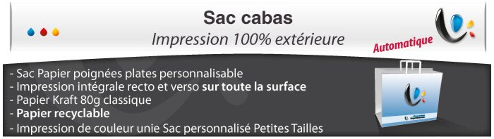Sac Papier poignées plates - Impression totale éxterieur - Forme Cabas