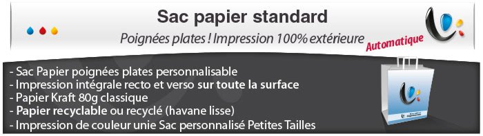 Sac Papier poignées plates - Impression totale éxterieur