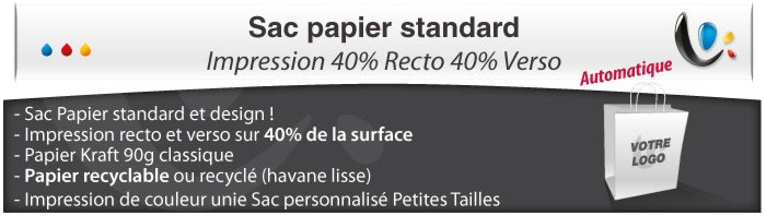 Sac Papier - Impression 40% Recto et 40% Verso